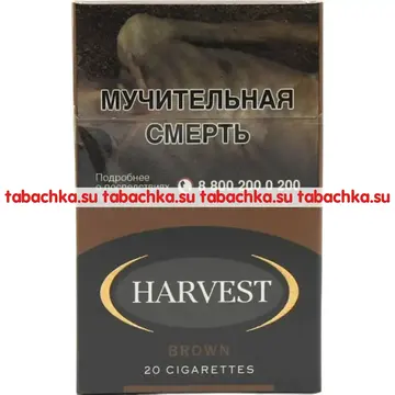 Сигареты Harvest Brown